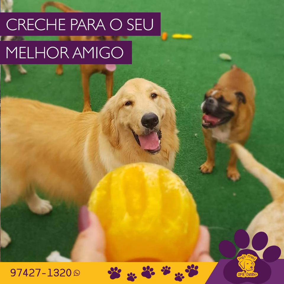 Hotel para Cachorro Mogi das Cruzes